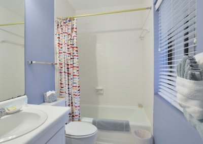 Guest bath #1