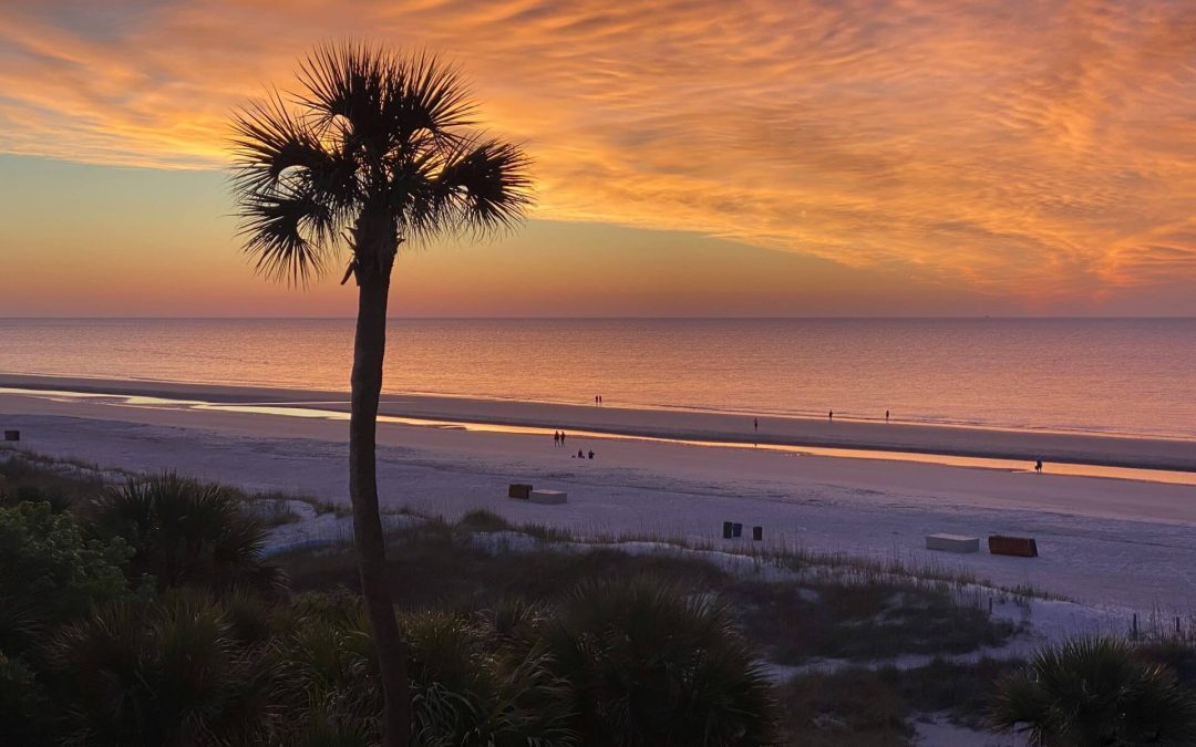 When to Visit Hilton Head Pros and Cons SeaPinesVilla Hilton Head
